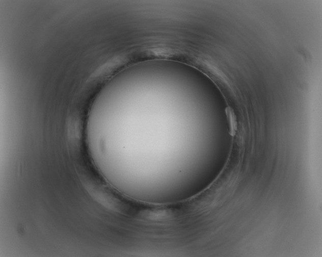 X0000114410639200910161207