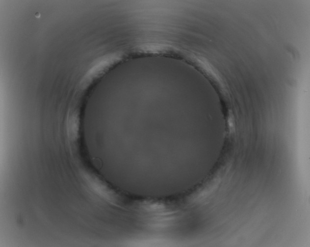 X0000114410640200910161207