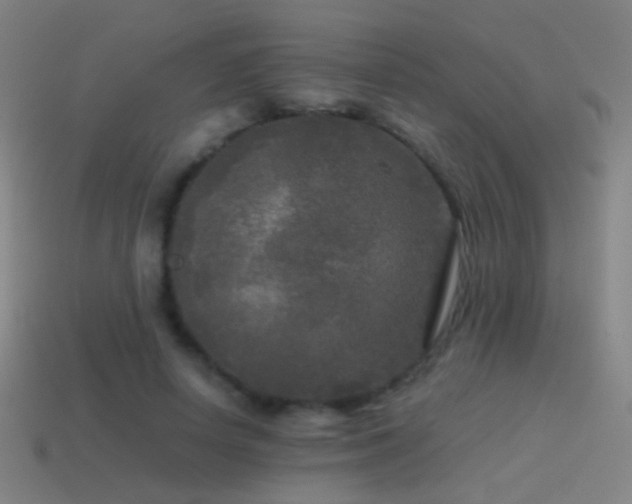 X0000114410642200910161207
