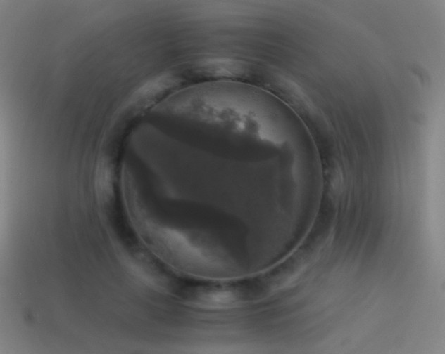 X0000114410643200910161207