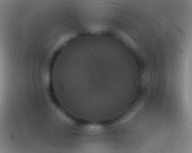 X0000114410644200910161207