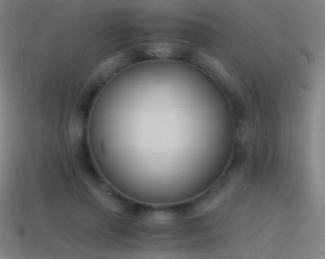 X0000114410645200910161207
