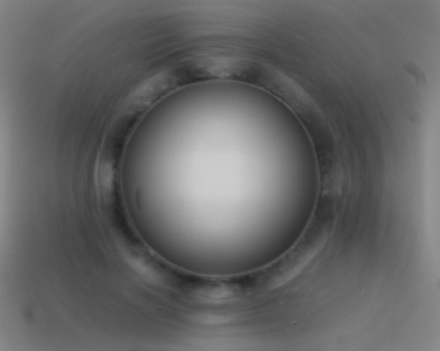 X0000114410646200910161207