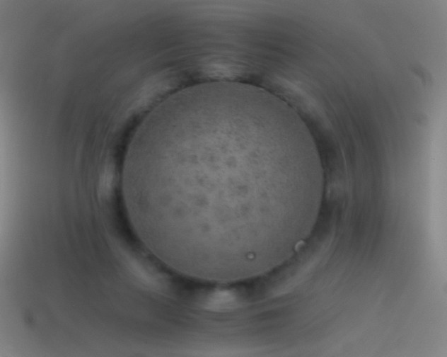 X0000114410647200910161207