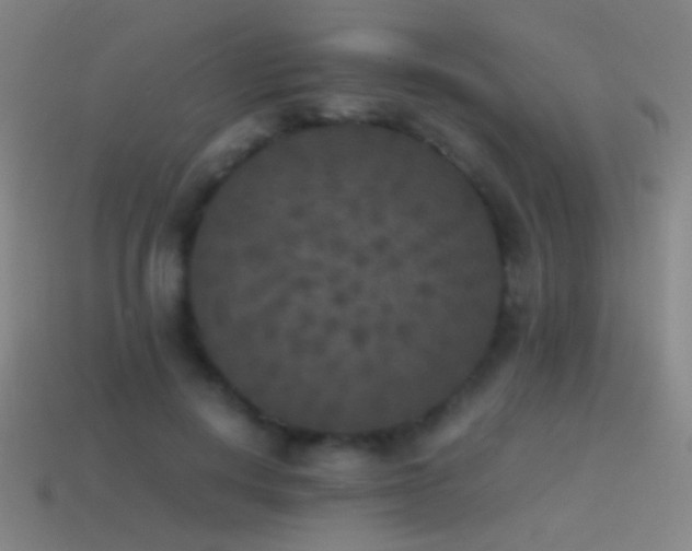 X0000114410648200910161207