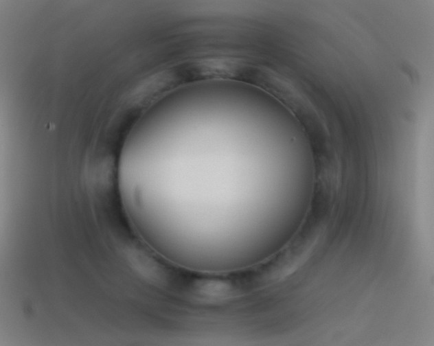 X0000114410649200910161207