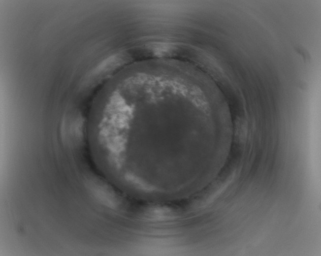 X0000114410650200910161207