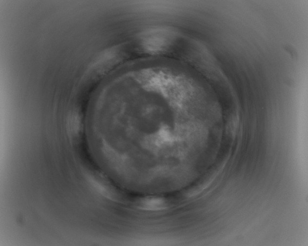 X0000114410651200910161207