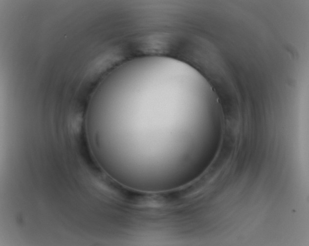 X0000114410652200910161208