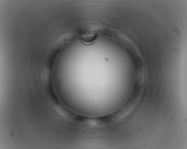 X0000114410654200910161208