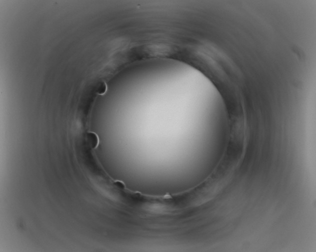 X0000114410655200910161208