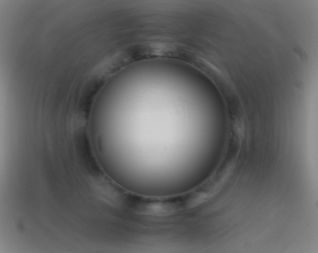 X0000114410657200910161208