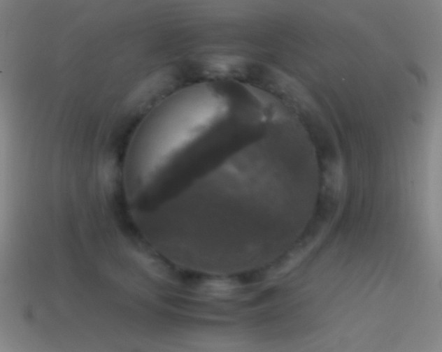 X0000114410659200910161208