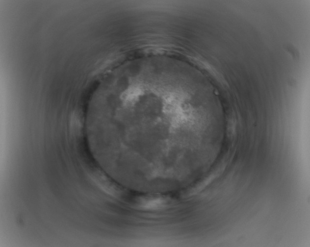 X0000114410661200910161208