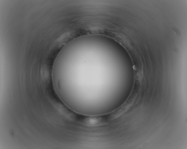 X0000114410662200910161208