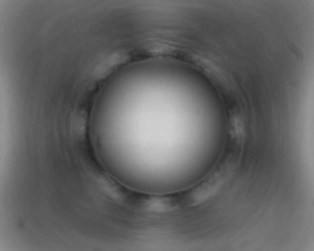 X0000114410664200910161208