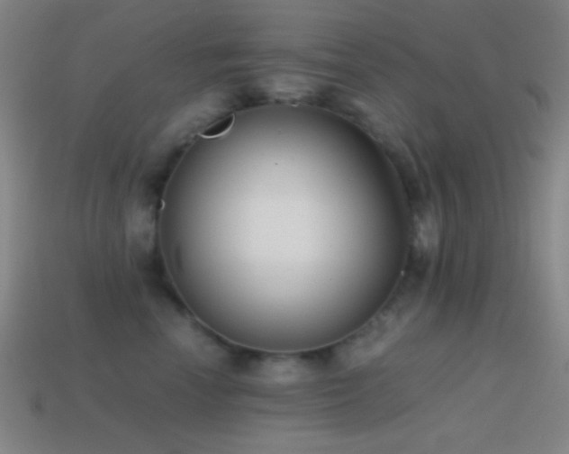 X0000114410666200910161208