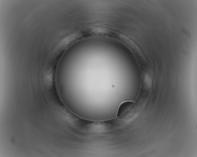 X0000114410668200910161208
