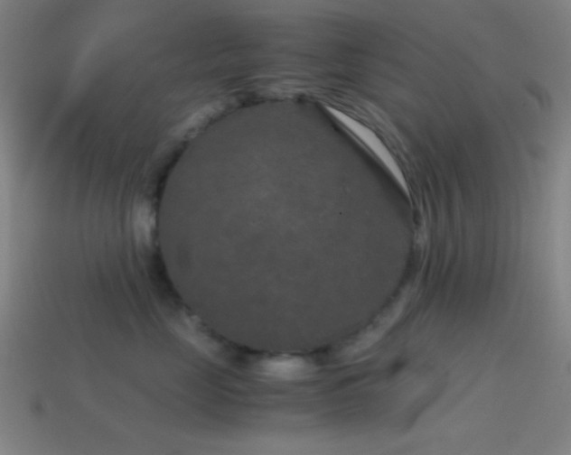 X0000114410669200910161208