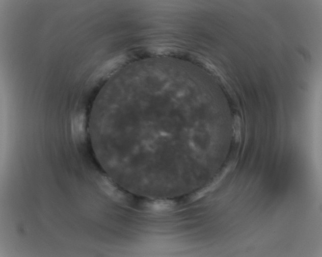 X0000114410670200910161208