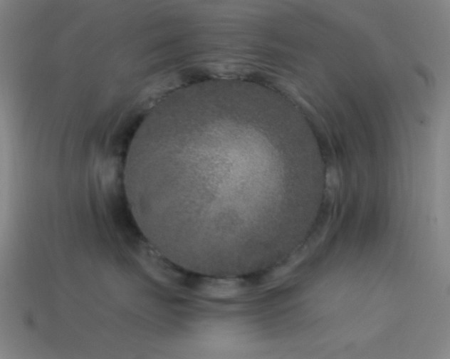 X0000114410671200910161208