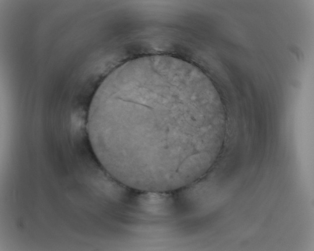 X0000114410672200910161208