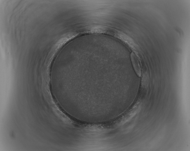 X0000114410673200910161207