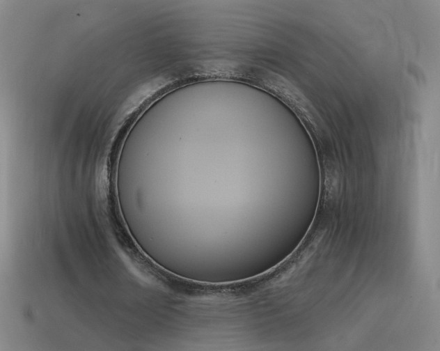 X0000114410674200910161207