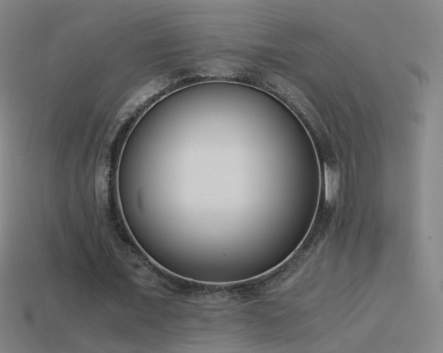 X0000114410675200910161207