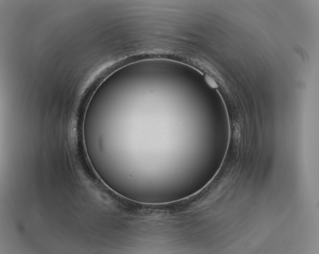 X0000114410676200910161207