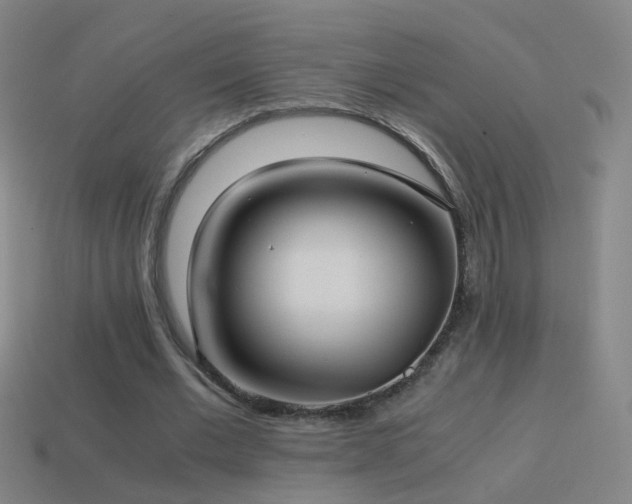 X0000114410677200910161207