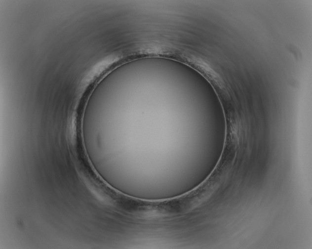 X0000114410678200910161207
