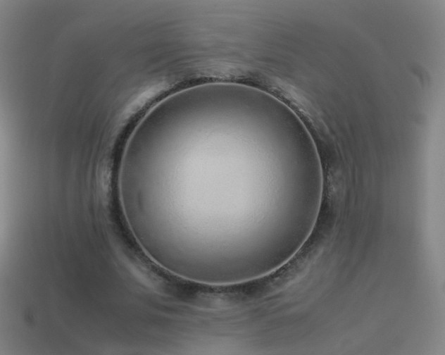 X0000114410679200910161207