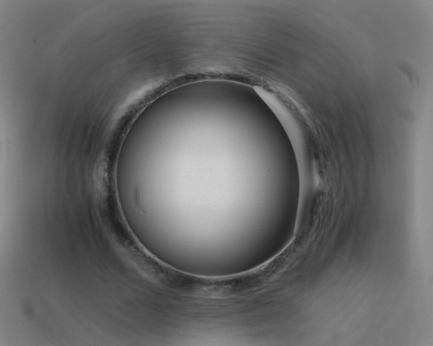 X0000114410680200910161207