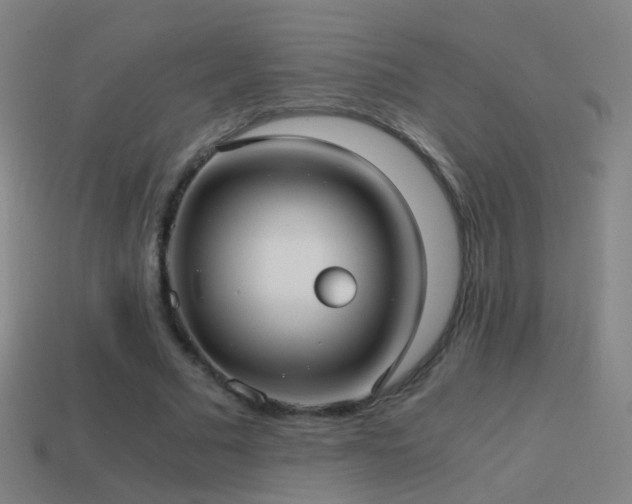 X0000114410681200910161207
