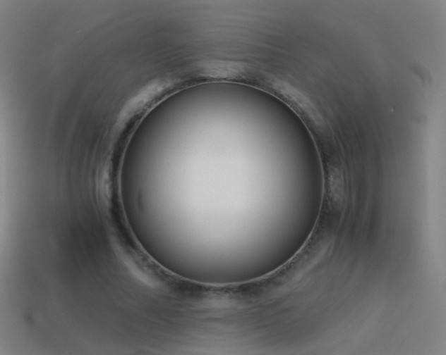 X0000114410682200910161207