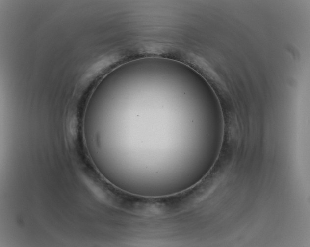 X0000114410683200910161207