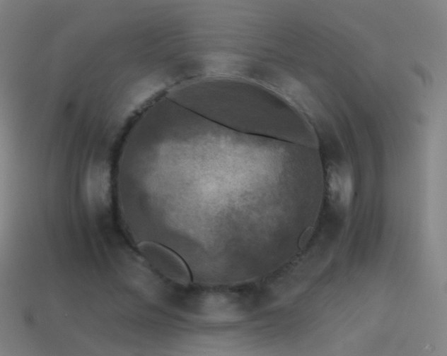 X0000114410684200910161207