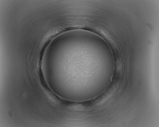 X0000114410685200910161207