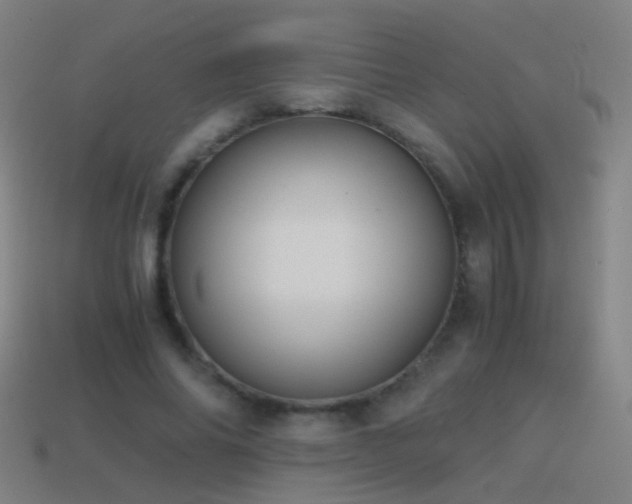 X0000114410686200910161207