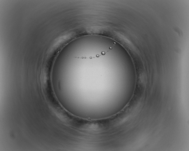 X0000114410687200910161207