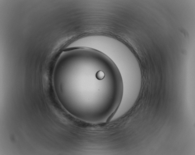 X0000114410688200910161207