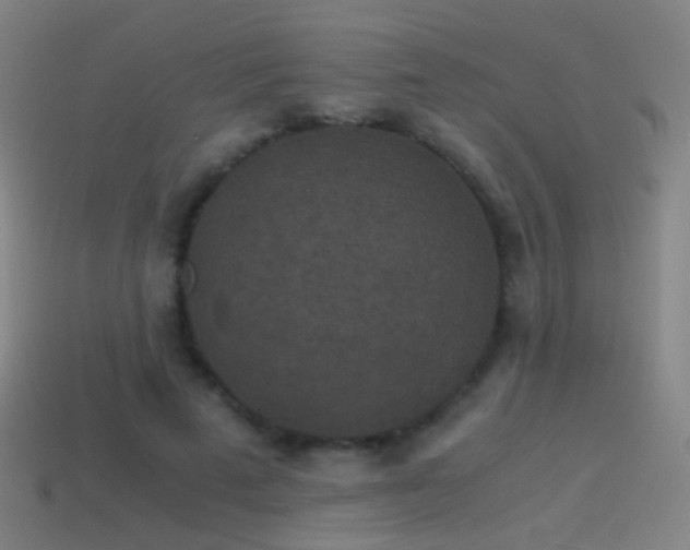 X0000114410689200910161207