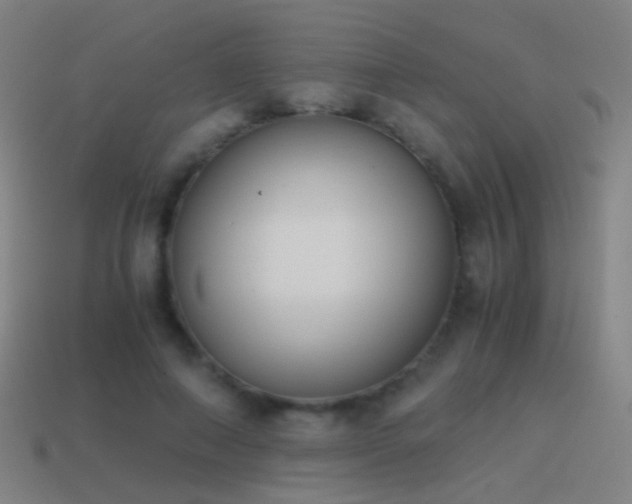 X0000114410690200910161207