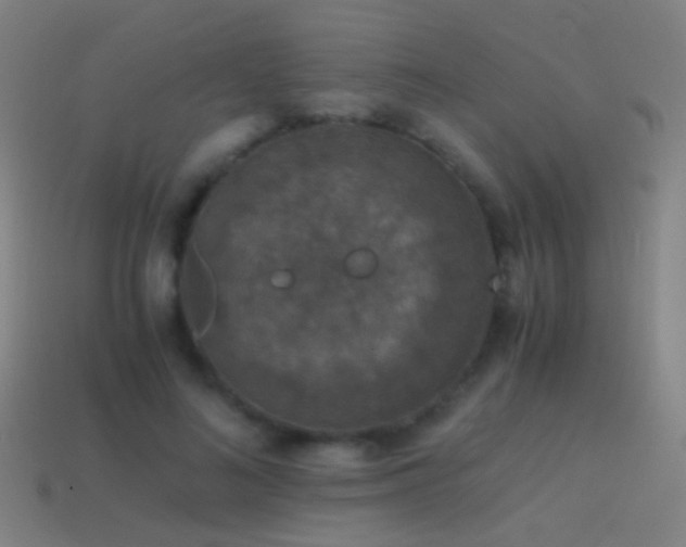 X0000114410692200910161207