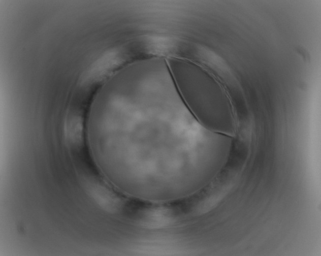 X0000114410696200910161207