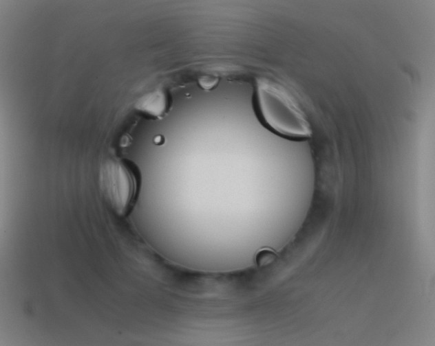 X0000114410697200910161207