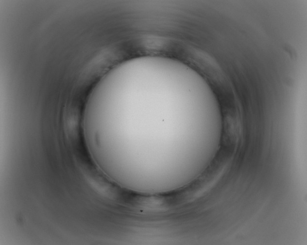 X0000114410698200910161207