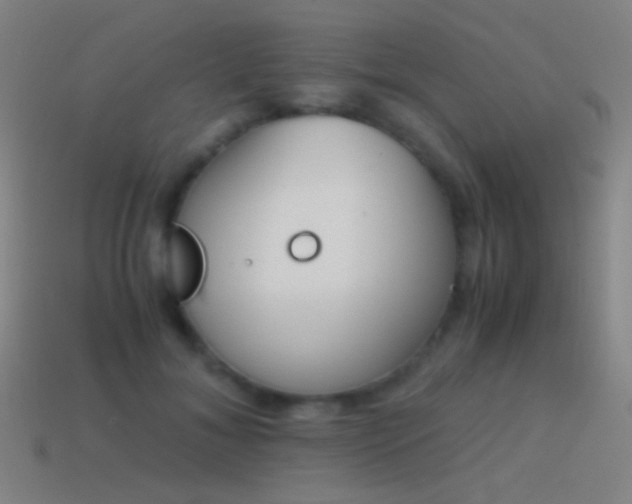 X0000114410700200910161207