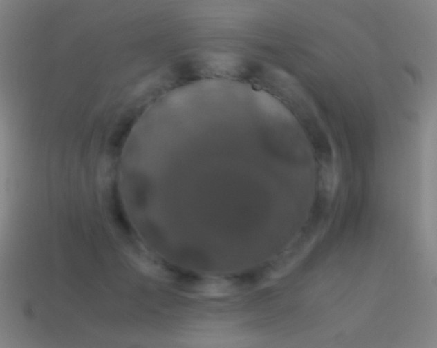 X0000114410701200910161207